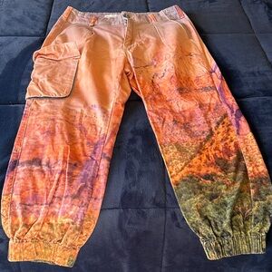 Pilcro Orange and Green Cropped Pants